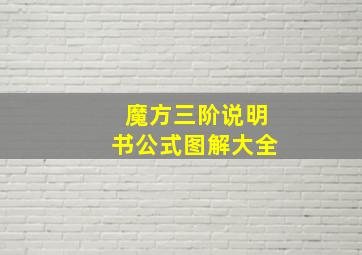 魔方三阶说明书公式图解大全