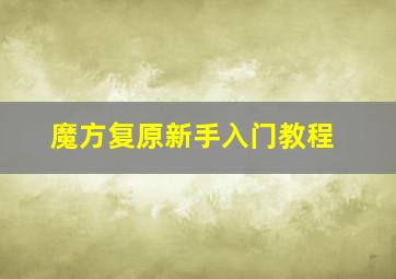 魔方复原新手入门教程