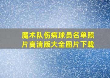 魔术队伤病球员名单照片高清版大全图片下载