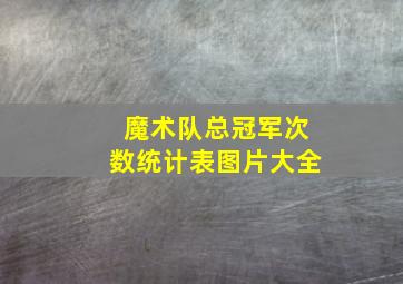 魔术队总冠军次数统计表图片大全