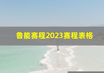 鲁能赛程2023赛程表格