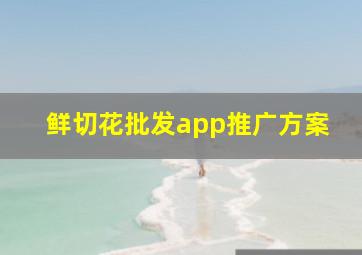 鲜切花批发app推广方案