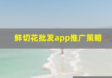 鲜切花批发app推广策略