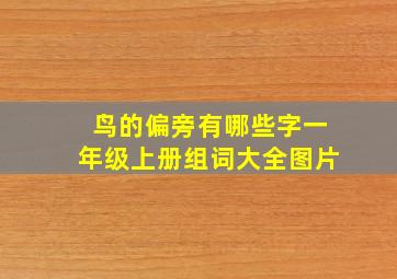 鸟的偏旁有哪些字一年级上册组词大全图片