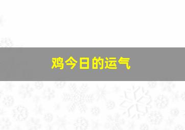 鸡今日的运气