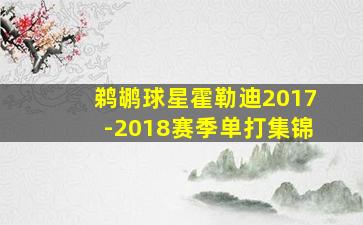 鹈鹕球星霍勒迪2017-2018赛季单打集锦