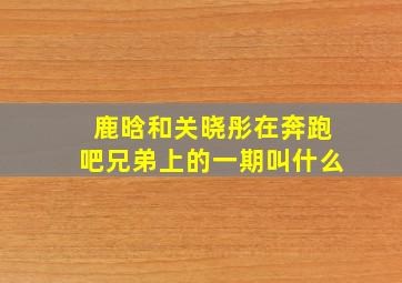 鹿晗和关晓彤在奔跑吧兄弟上的一期叫什么