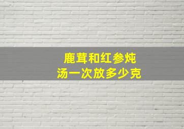 鹿茸和红参炖汤一次放多少克