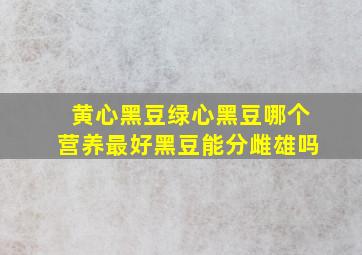 黄心黑豆绿心黑豆哪个营养最好黑豆能分雌雄吗