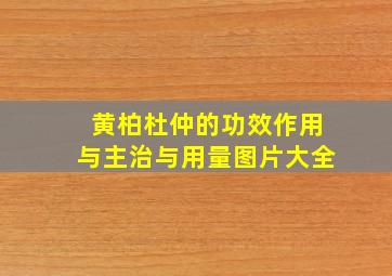 黄柏杜仲的功效作用与主治与用量图片大全