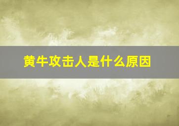 黄牛攻击人是什么原因