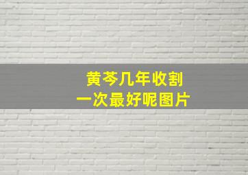 黄芩几年收割一次最好呢图片