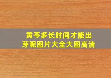 黄芩多长时间才能出芽呢图片大全大图高清