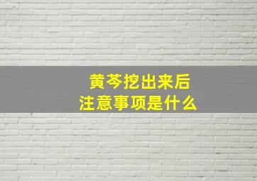 黄芩挖出来后注意事项是什么