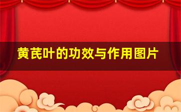 黄芪叶的功效与作用图片