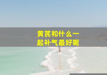 黄芪和什么一起补气最好呢