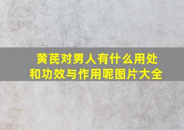 黄芪对男人有什么用处和功效与作用呢图片大全