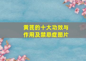 黄芪的十大功效与作用及禁忌症图片