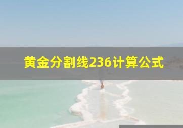 黄金分割线236计算公式