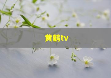 黄鹤tv