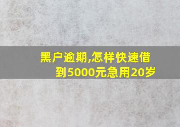 黑户逾期,怎样快速借到5000元急用20岁