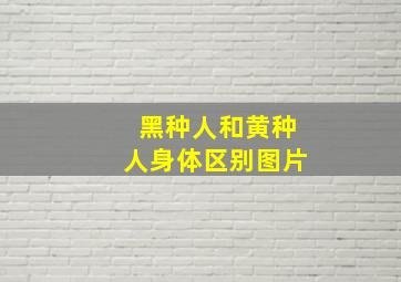 黑种人和黄种人身体区别图片