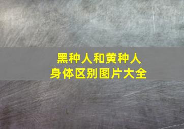 黑种人和黄种人身体区别图片大全