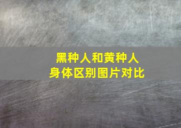 黑种人和黄种人身体区别图片对比