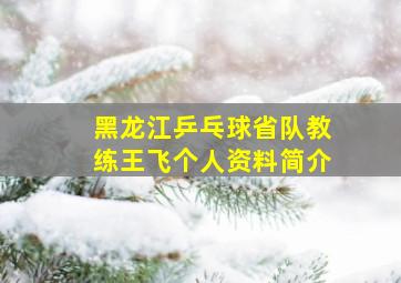 黑龙江乒乓球省队教练王飞个人资料简介