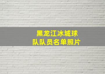 黑龙江冰城球队队员名单照片