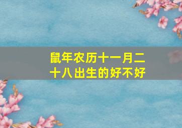 鼠年农历十一月二十八出生的好不好