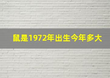 鼠是1972年出生今年多大