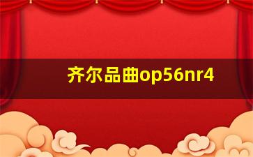 齐尔品曲op56nr4