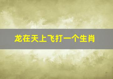 龙在天上飞打一个生肖