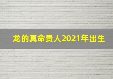 龙的真命贵人2021年出生