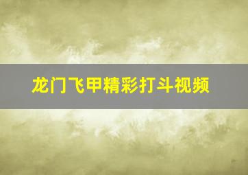 龙门飞甲精彩打斗视频