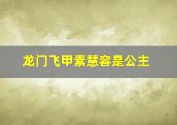 龙门飞甲素慧容是公主