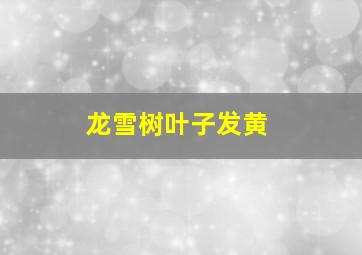 龙雪树叶子发黄