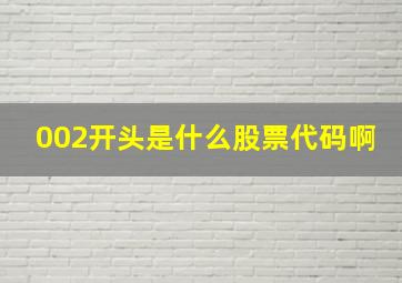 002开头是什么股票代码啊