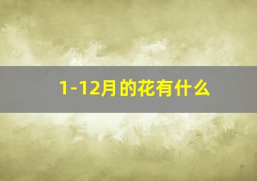 1-12月的花有什么