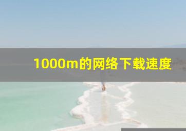 1000m的网络下载速度