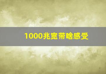 1000兆宽带啥感受