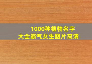 1000种植物名字大全霸气女生图片高清