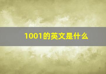 1001的英文是什么