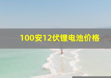 100安12伏锂电池价格