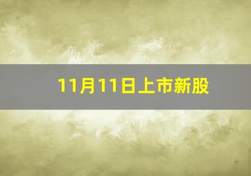 11月11日上市新股