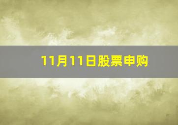 11月11日股票申购