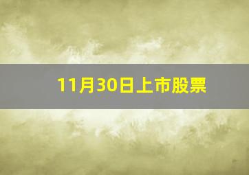 11月30日上市股票