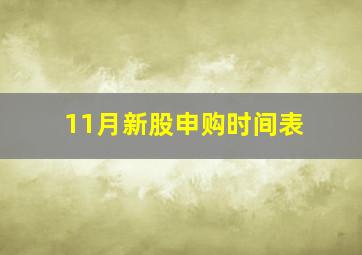 11月新股申购时间表