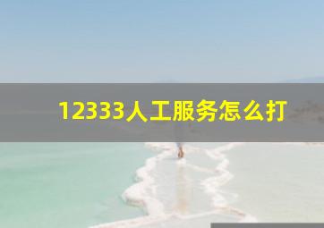 12333人工服务怎么打